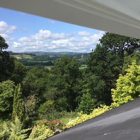 Dwynant - A Room With A View Llangathen Экстерьер фото