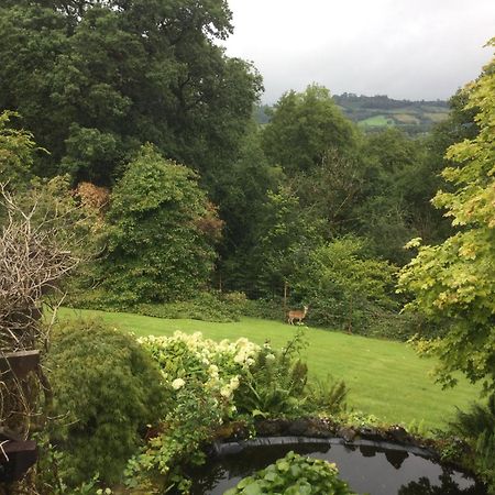 Dwynant - A Room With A View Llangathen Экстерьер фото
