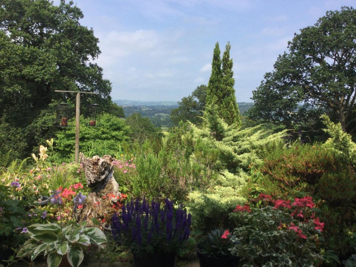 Dwynant - A Room With A View Llangathen Экстерьер фото