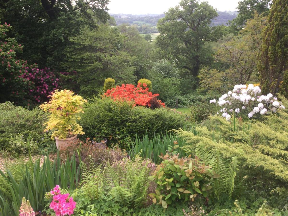 Dwynant - A Room With A View Llangathen Экстерьер фото
