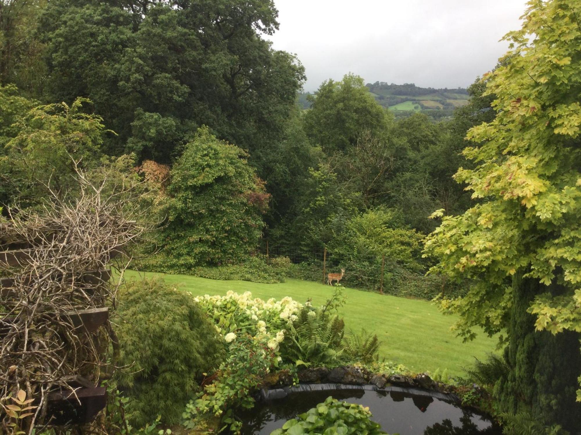 Dwynant - A Room With A View Llangathen Экстерьер фото